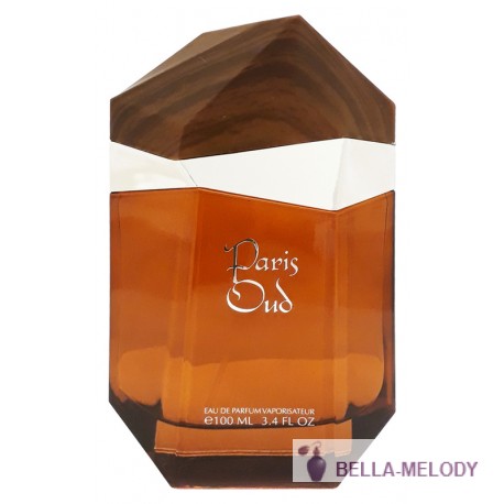 Afnan Paris Oud 11