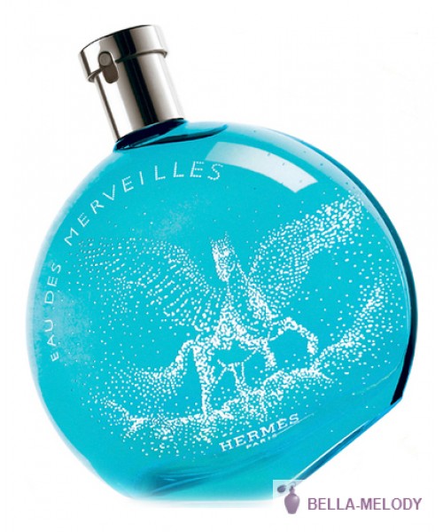 Hermes Eau Des Merveilles Pegasus