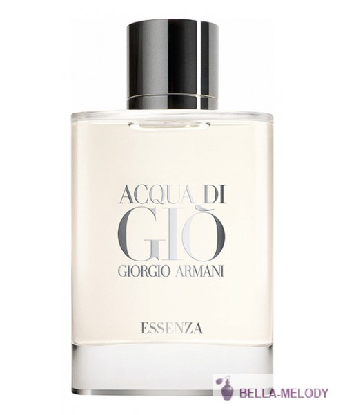 Armani Acqua Di Gio Essenza Pour Homme