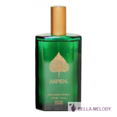 Coty Aspen For Men 11