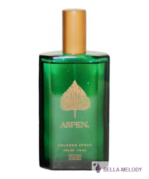 Coty Aspen For Men