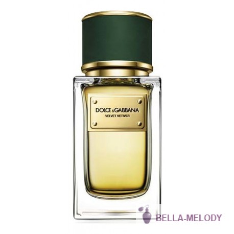 Dolce Gabbana (D&G) Velvet Vetiver 11