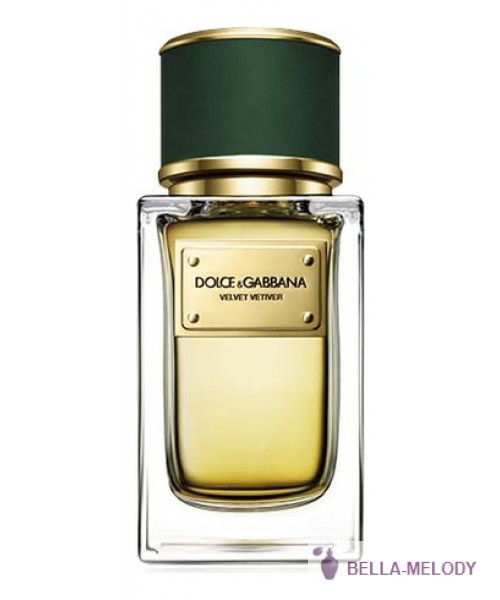 Dolce Gabbana (D&G) Velvet Vetiver