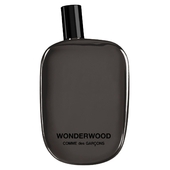 Comme des Garcons Wonderwood