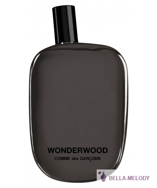 Comme des Garcons Wonderwood