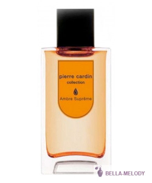 Pierre Cardin Collection Ambre Supreme