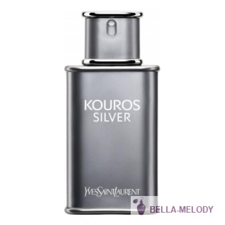 YSL Kouros Silver 11