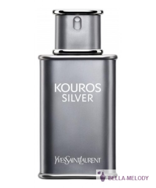 YSL Kouros Silver