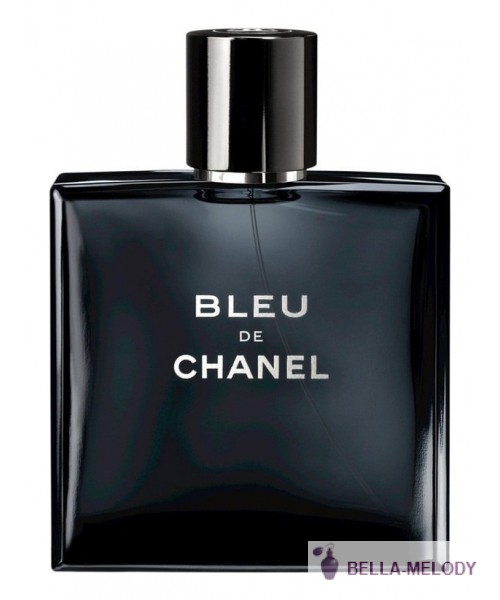 Chanel Bleu De Chanel