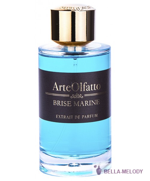 ArteOlfatto Brise Marine