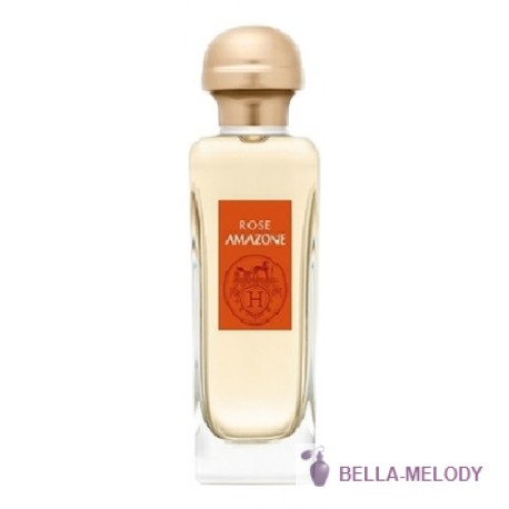 Hermes Rose Amazone 11