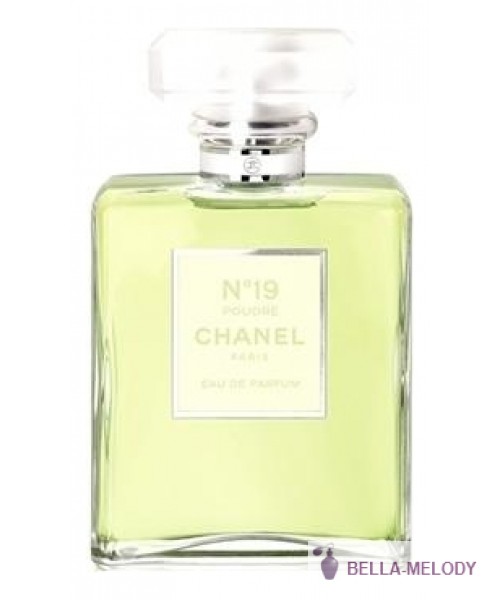 Chanel No19 Poudre