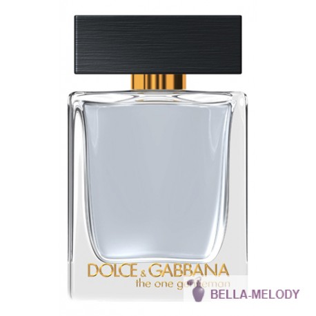 Dolce Gabbana (D&G) The One Gentleman 11