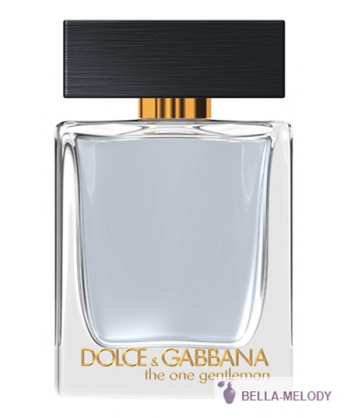 Dolce Gabbana (D&G) The One Gentleman