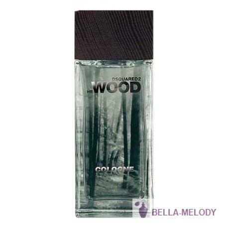 Dsquared2 He Wood Cologne 11