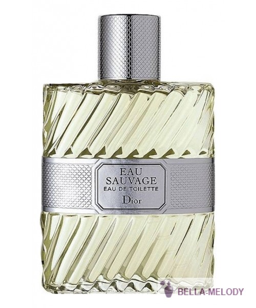 Christian Dior Eau Sauvage