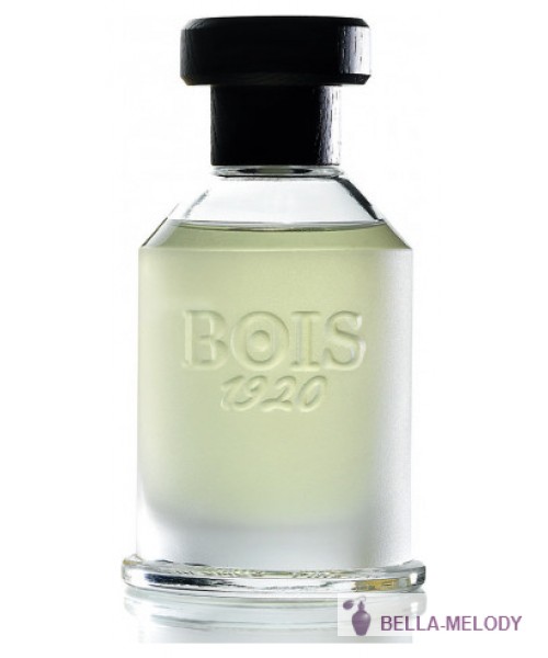 Bois 1920 Magia