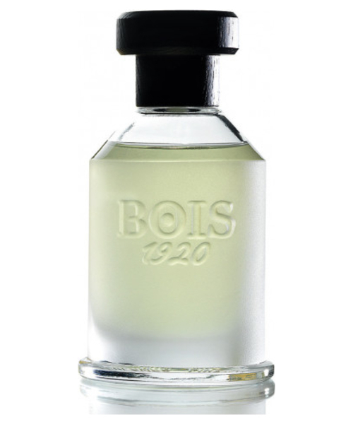 Bois 1920 Magia