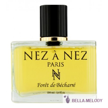 Nez a Nez Foret de Becharre 11