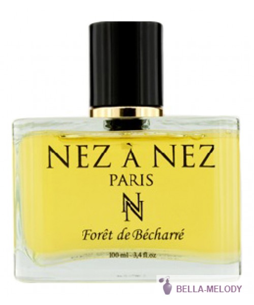 Nez a Nez Foret de Becharre