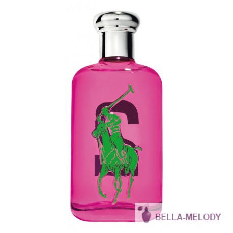 Ralph Lauren Big Pony 2 for Women 11