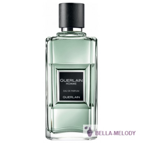 Guerlain Homme Eau De Parfum 2016 11