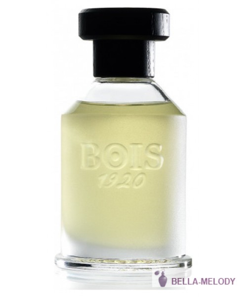 Bois 1920 Rosa 23