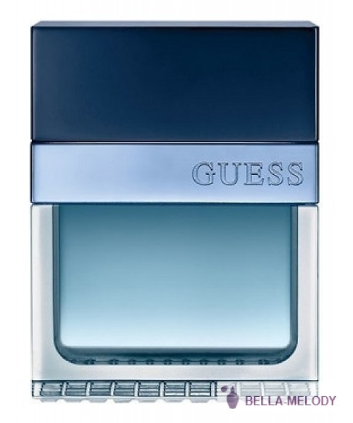 Guess Seductive Homme Blue