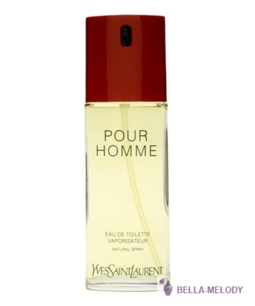 YSL Pour Homme