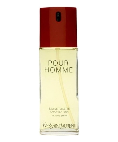 YSL Pour Homme