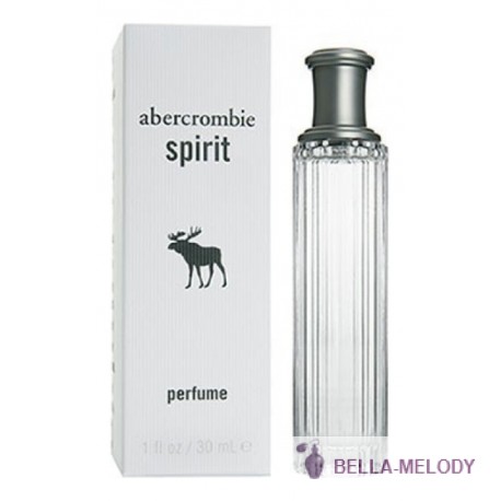 Abercrombie & Fitch Spirit Perfume 22