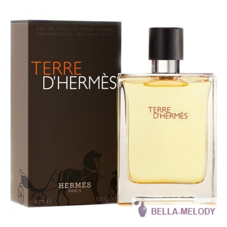 Hermes Terre D'Hermes Pour Homme 22