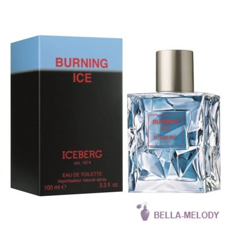 Iceberg Burning Ice 22