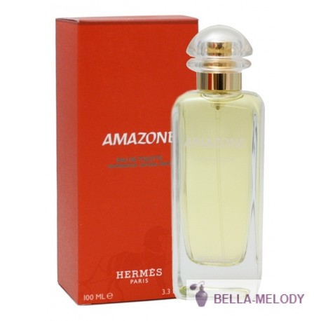 Hermes Amazone 22