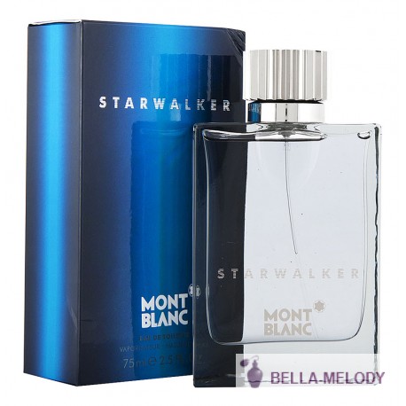 Mont Blanc Starwalker 22