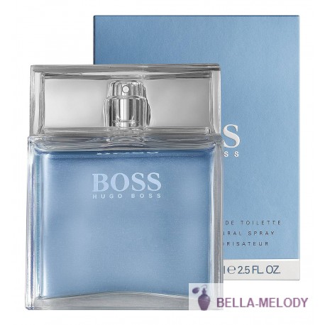 Hugo Boss Pure 22