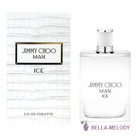 Jimmy Choo Man Ice 22