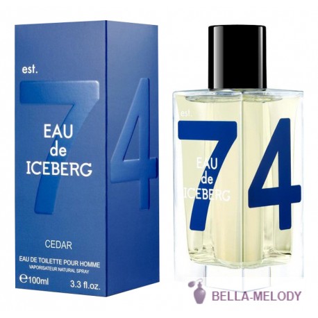 Iceberg Eau de Iceberg Cedar 22