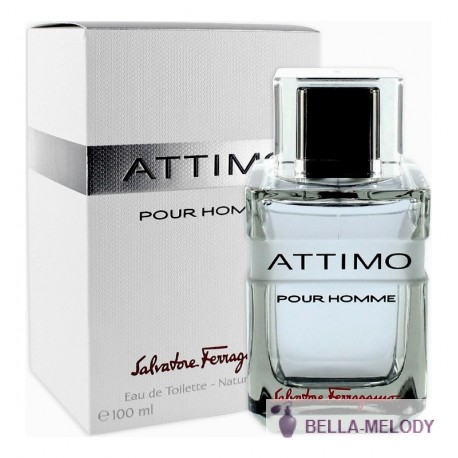 Salvatore Ferragamo Attimo Pour Homme 22