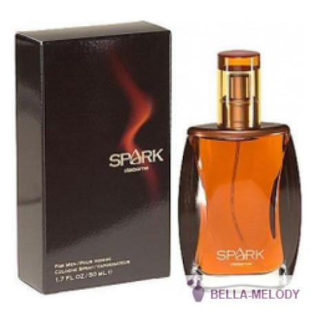 Liz Claiborne Spark For Men 22