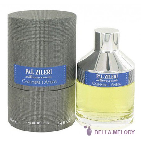 Pal Zileri Collezione Privata Cashmere E Ambra 22