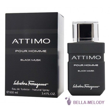 Salvatore Ferragamo Attimo Black Musk Pour Homme 22