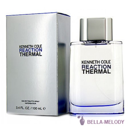 Kenneth Cole Reaction Termal 22