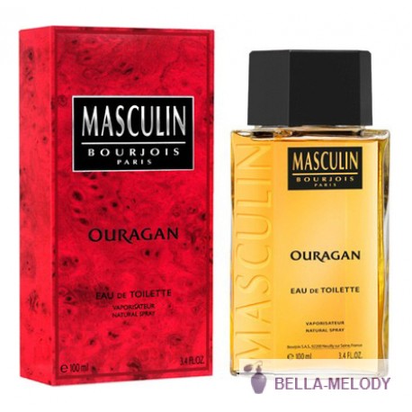 Bourjois Masculin Ouragan Винтаж 22