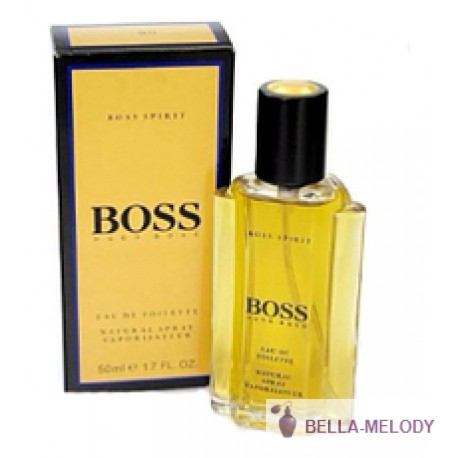 Hugo Boss Boss Spirit 22