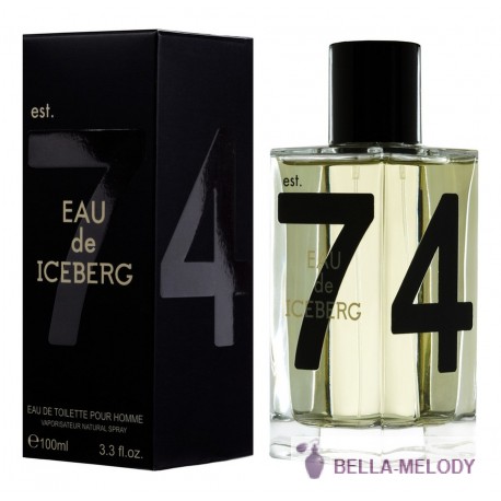 Iceberg Eau de Pour Homme 22