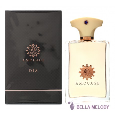 Amouage Dia For Men 22