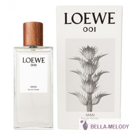 Loewe 001 Man 22