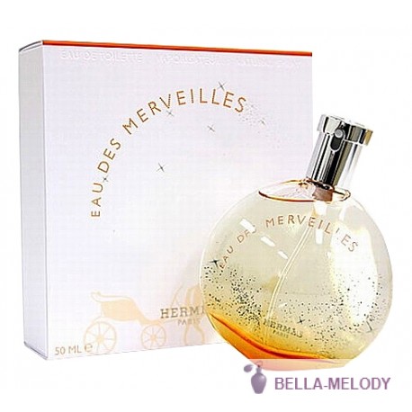 Hermes Eau Des Merveilles 22