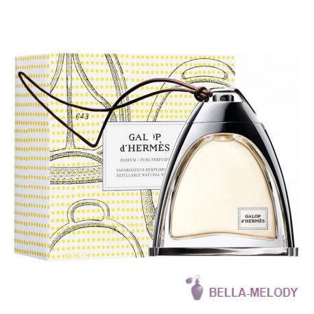 Hermes Galop D'Hermes 22